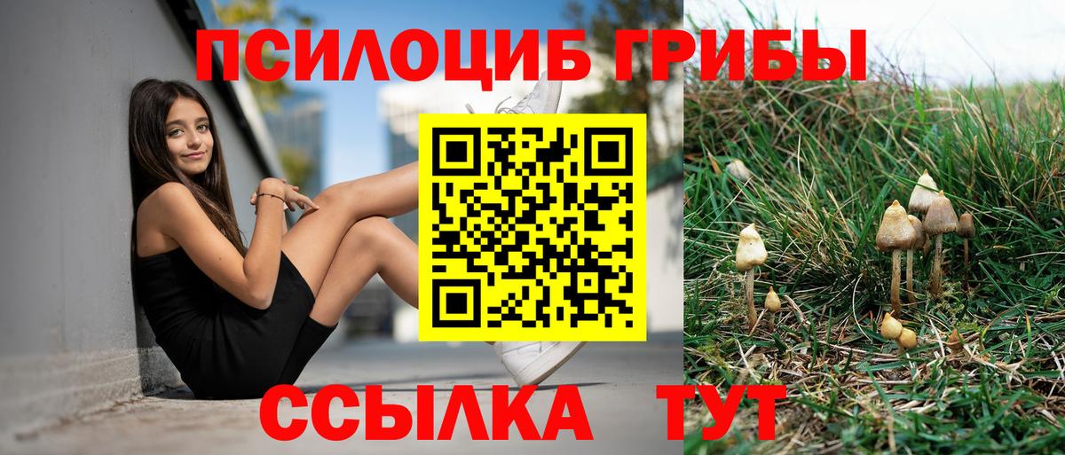 Псилоцибиновые грибы мицелий  Вход с VPN  Артём 